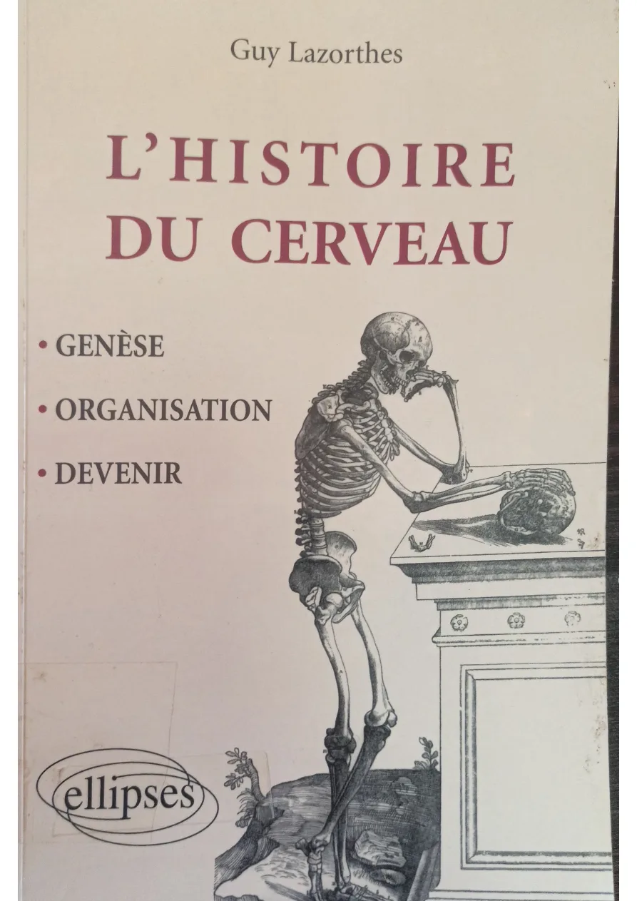 Couverture de L'histoire du cerveau