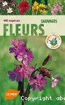 Couverture de Fleurs sauvages. 440 espèces.