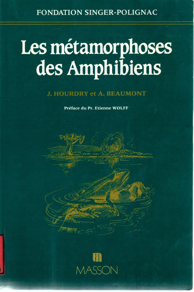 Couverture de Les Métamorphoses des Amphibiens