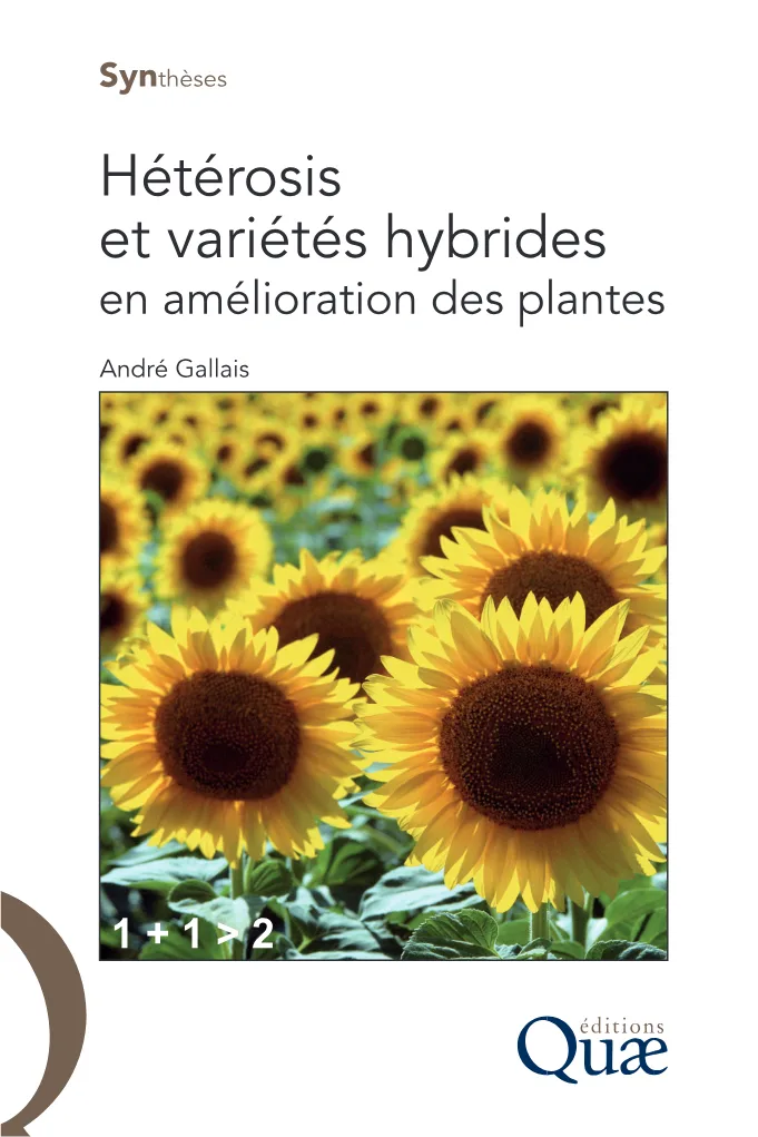 Couverture de Hétérosis et variétés hybrides en amélioration des plantes