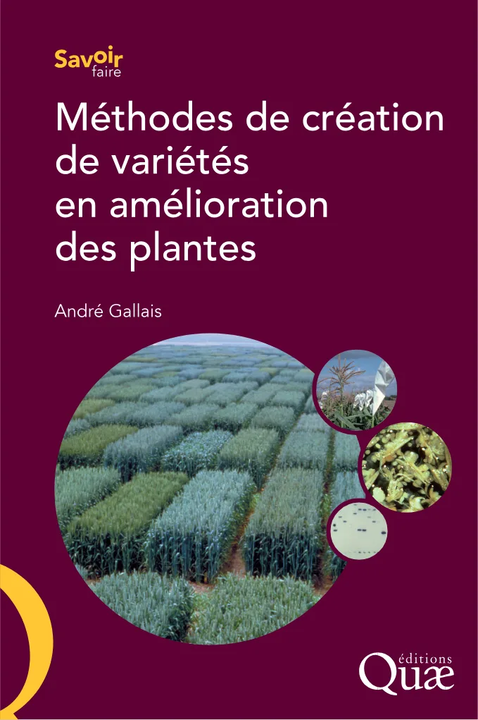 Couverture de Méthodes de création de variétès en amélioration des plantes