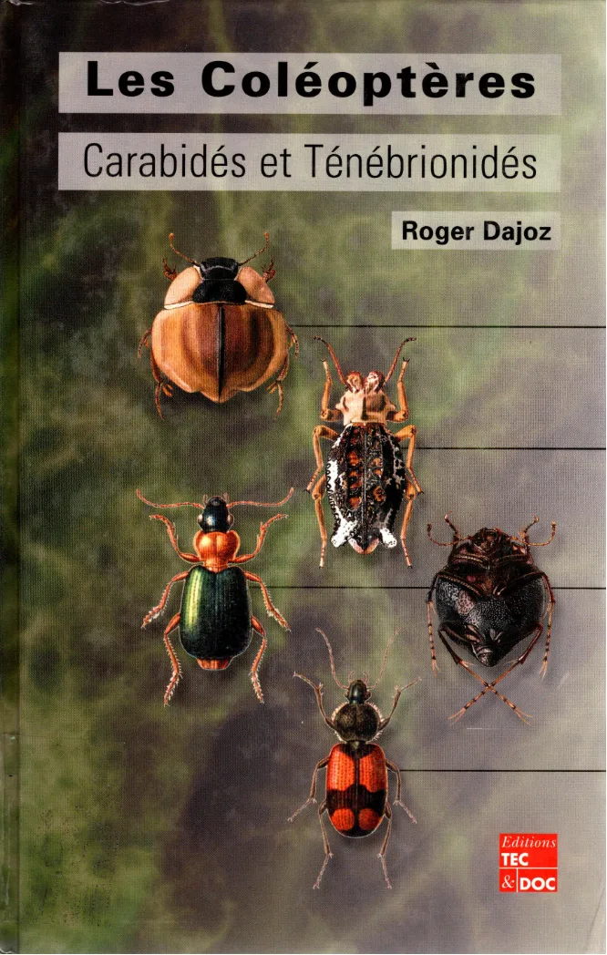 Couverture de Coléoptères Carabidés et Ténébrionidés