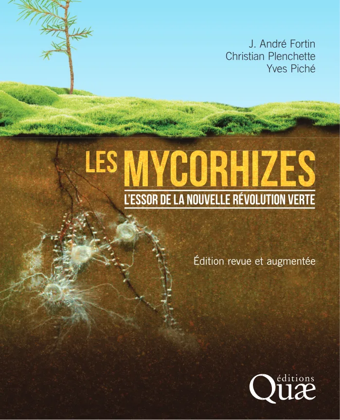 Couverture de Les mycorhizes