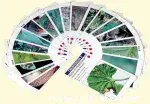 Couverture de Croq'feuilles