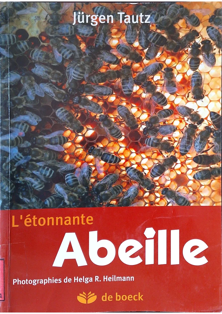 Couverture de L'étonnante abeille