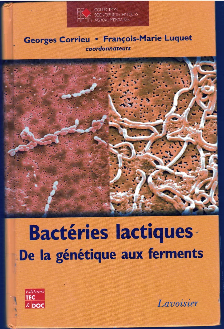 Couverture de Bactéries lactiques
