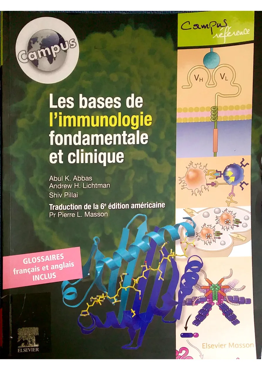 Couverture de Les bases de l'immunologie fondamentale et clinique