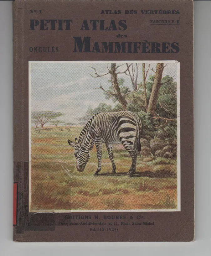 Couverture de Petit atlas des mammifères ongulés2