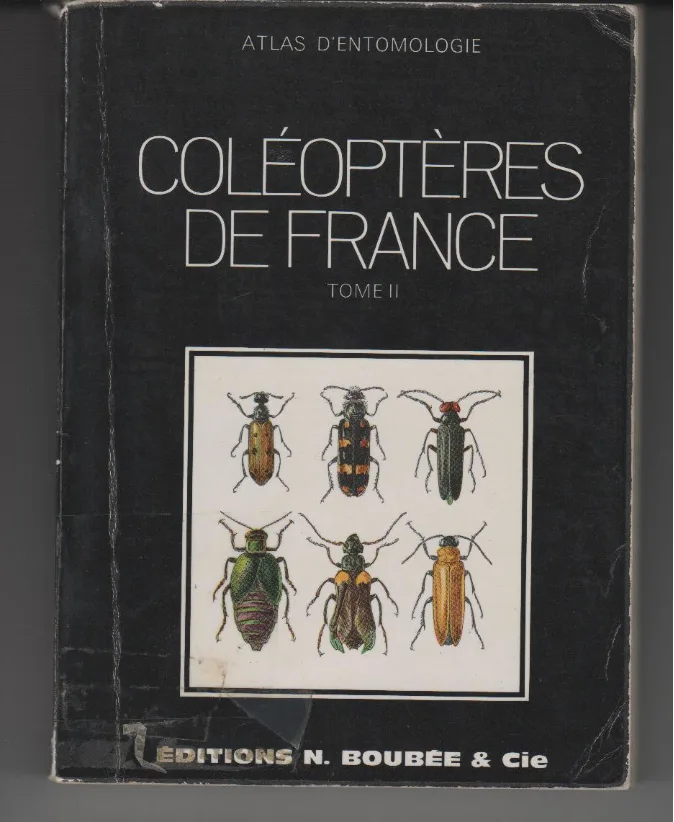 Couverture de Atlas des coléoptères de France Belgique, suisse tome 2