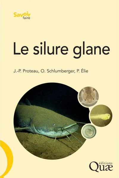 Couverture de Le silure glane