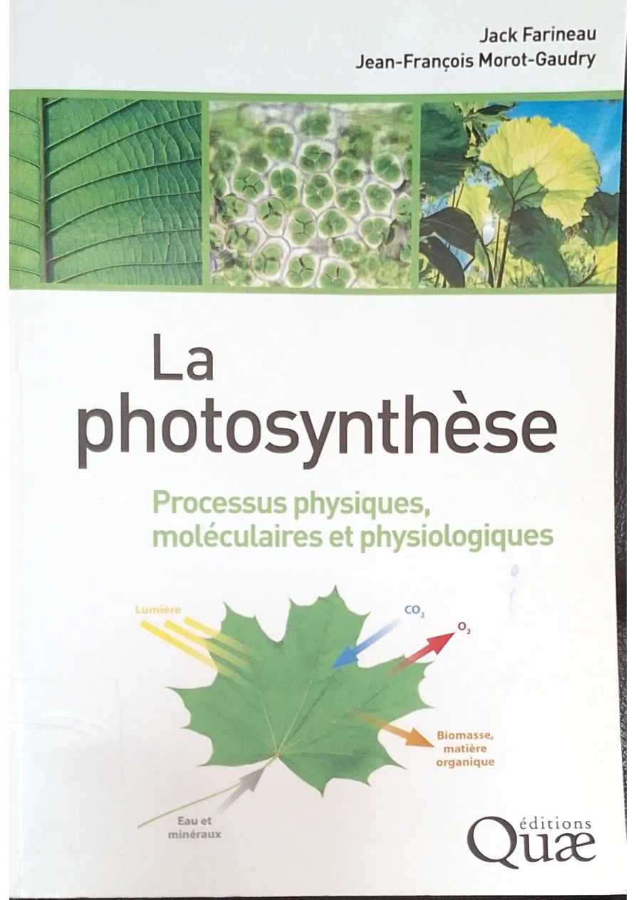 Couverture de La photosynthèse : Processus physiques, moléculaires et physiologiques