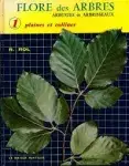 Couverture de Flore des arbres : Arbuste et Arbrisseux
