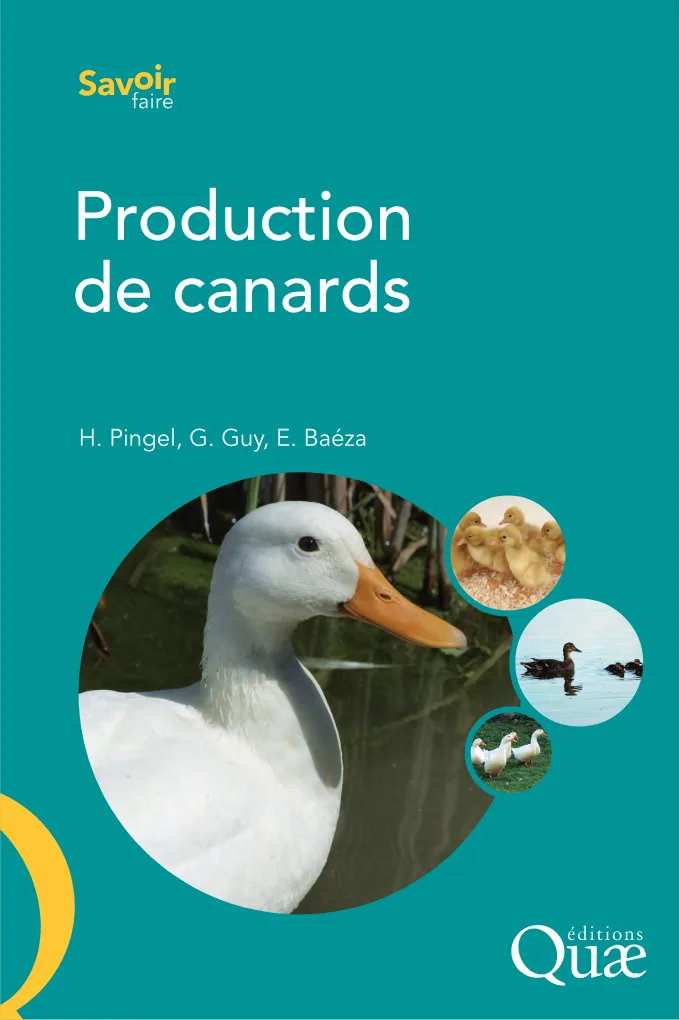 Couverture de Production de canards