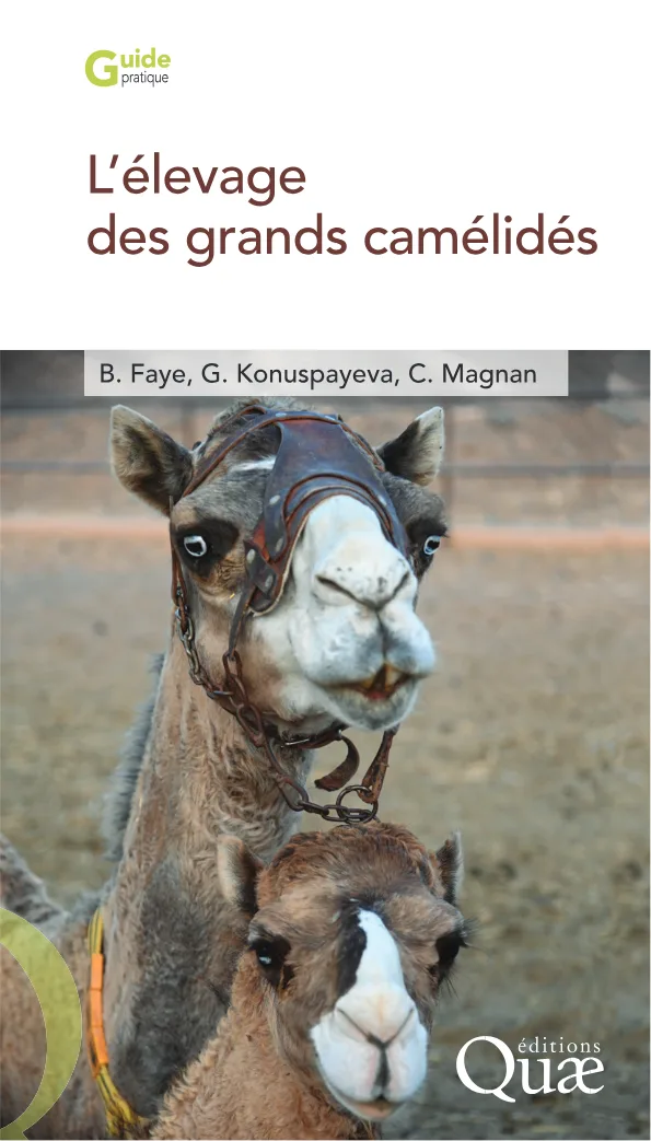 Couverture de L'élevage des grands camélidés
