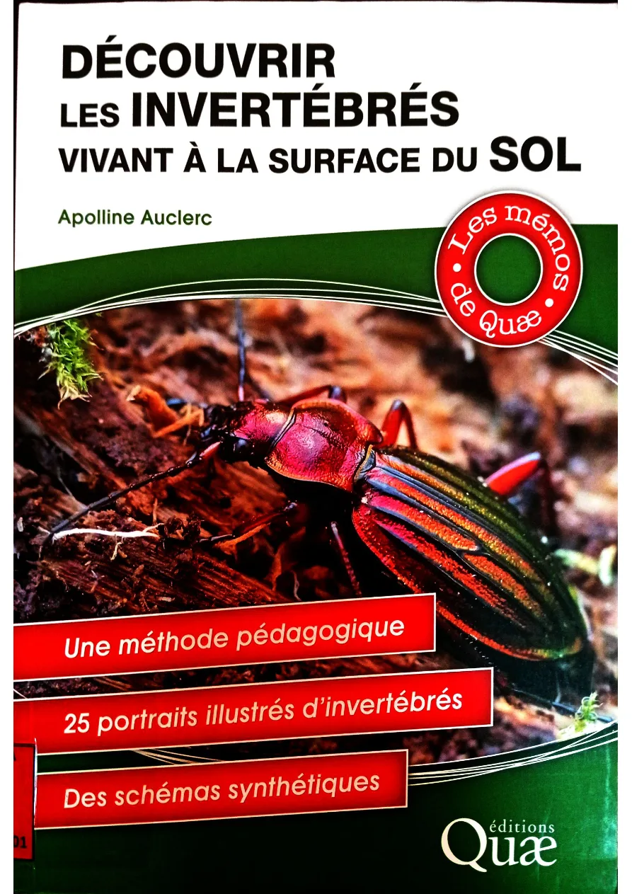 Couverture de Découvrir les invertébrés vivant à la surface du sol