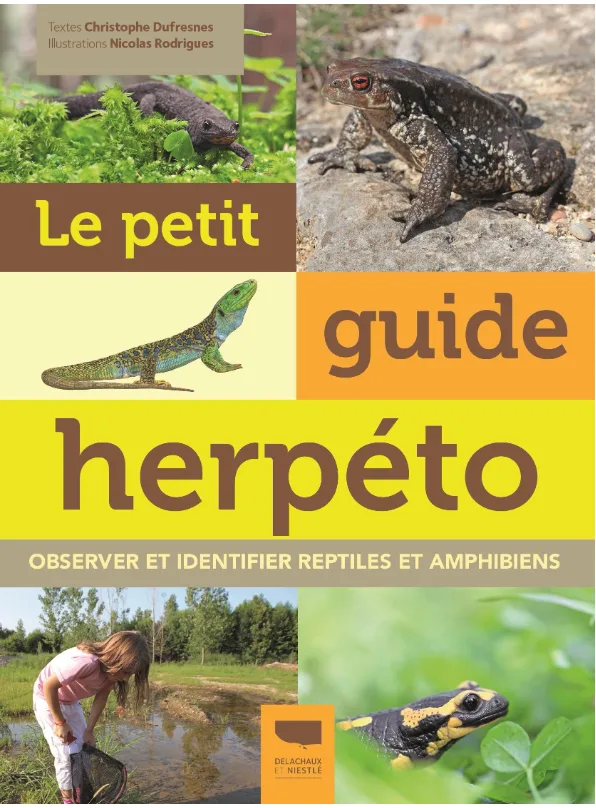 Couverture de Le petit guide herpéto