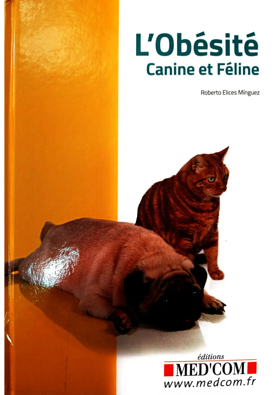 Couverture de L'obésité
