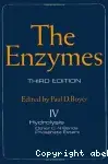 Couverture de The Enzymes. VOL.IV