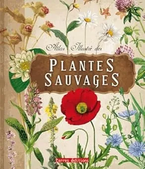 Couverture de Atlas illustré des plantes sauvages