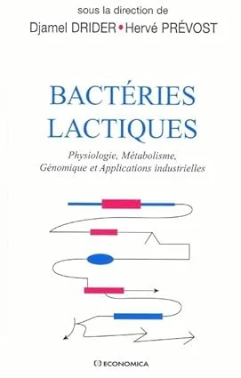 Couverture de Bactéries lactiques
