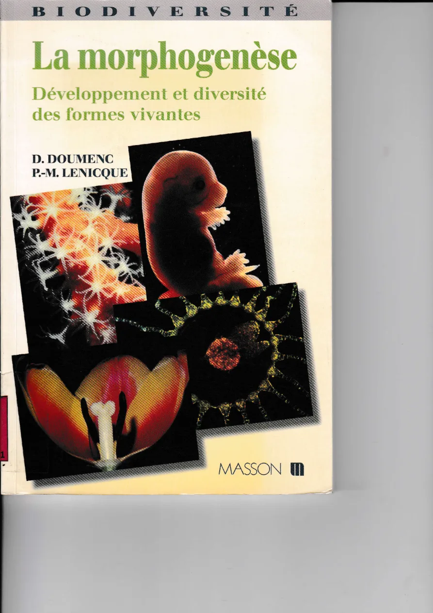 Couverture de La morphogenèse
